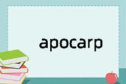 apocarp