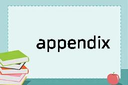 appendix