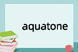 aquatone