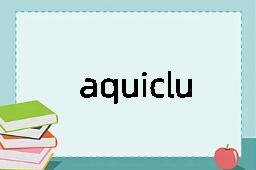 aquiclude