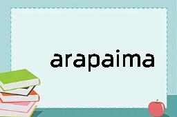 arapaima