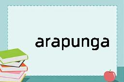 arapunga