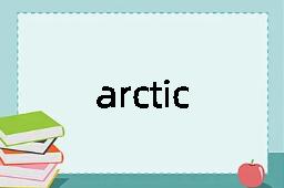 arctic