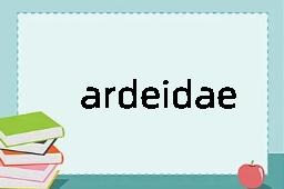 ardeidae