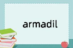 armadillo