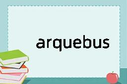 arquebus