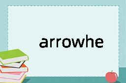 arrowheaded