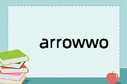 arrowworm