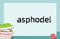 asphodel