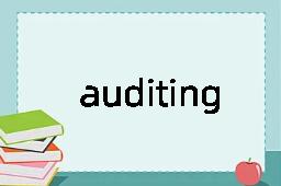 auditing