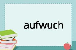 aufwuch