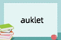 auklet