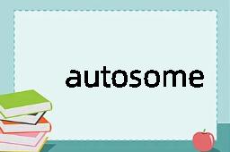 autosome