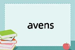 avens