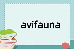 avifauna