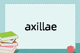 axillae