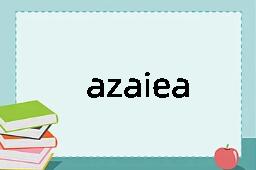 azaiea