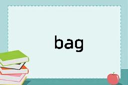 bag