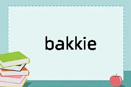 bakkie