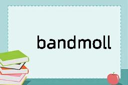 bandmoll