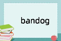 bandog