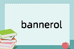 bannerol