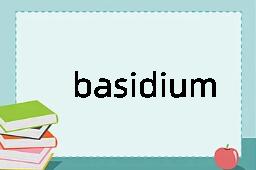 basidium