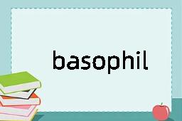 basophil