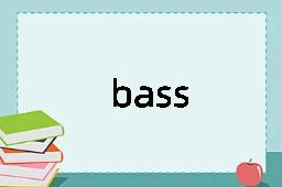 bass