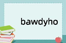 bawdyhouse