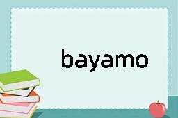 bayamo