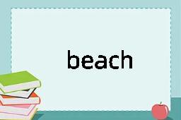 beach