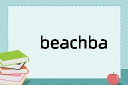 beachball