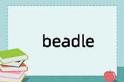 beadle