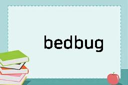 bedbug