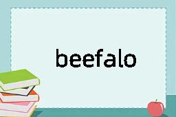 beefalo