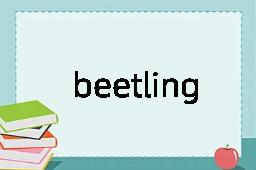 beetling