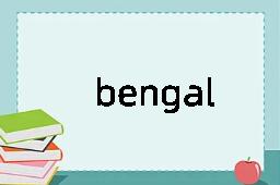 bengal