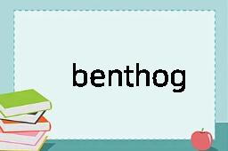 benthograph