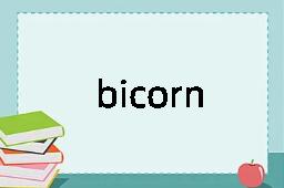 bicorn