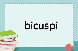 bicuspidate