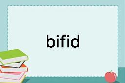 bifid