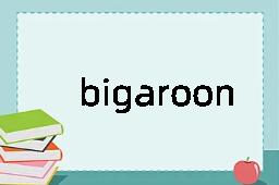 bigaroon