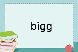 bigg