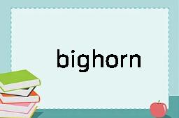 bighorn