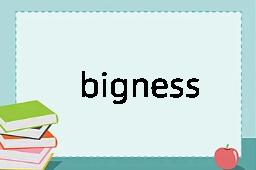 bigness