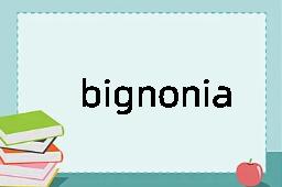 bignonia