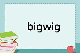 bigwig