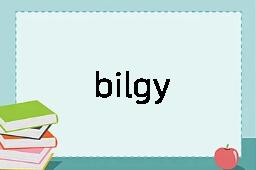 bilgy