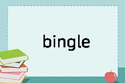 bingle